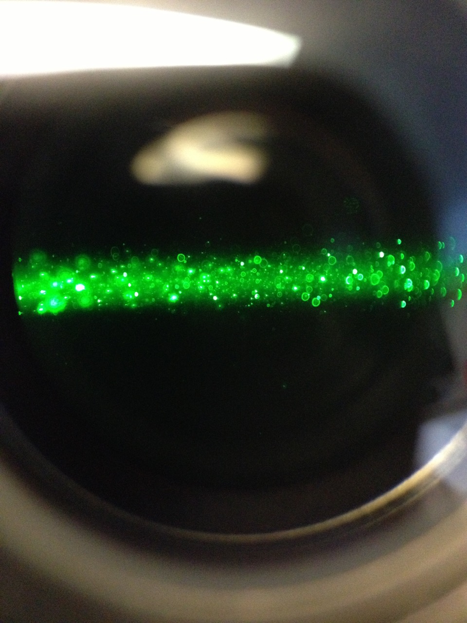 The green specks are a microscope image of the particles Power researched during her co-op placement at CReATe Fertility Centre. The image was taken through a special microscope called a Nanosight.