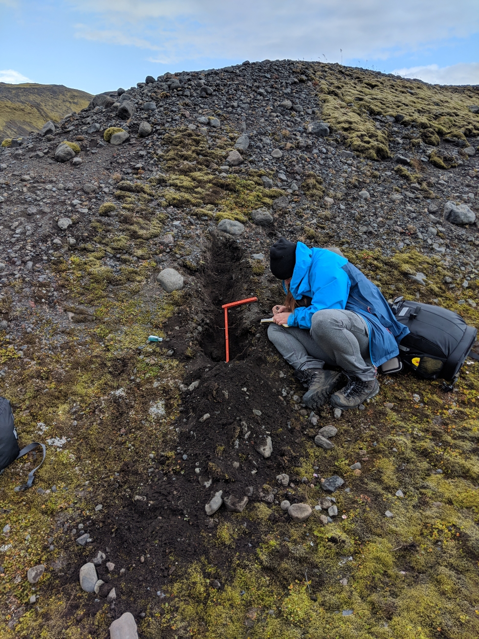 Collection of sedimentological data is often done by digging pits in a variety of landforms where we then analyze the type, shape and size of the various sediments to try and understand how they were deposited. Here you can see me recording the sedimentological characteristics of a moraine. Note: using a scale (orange ruler) is integral to field work!