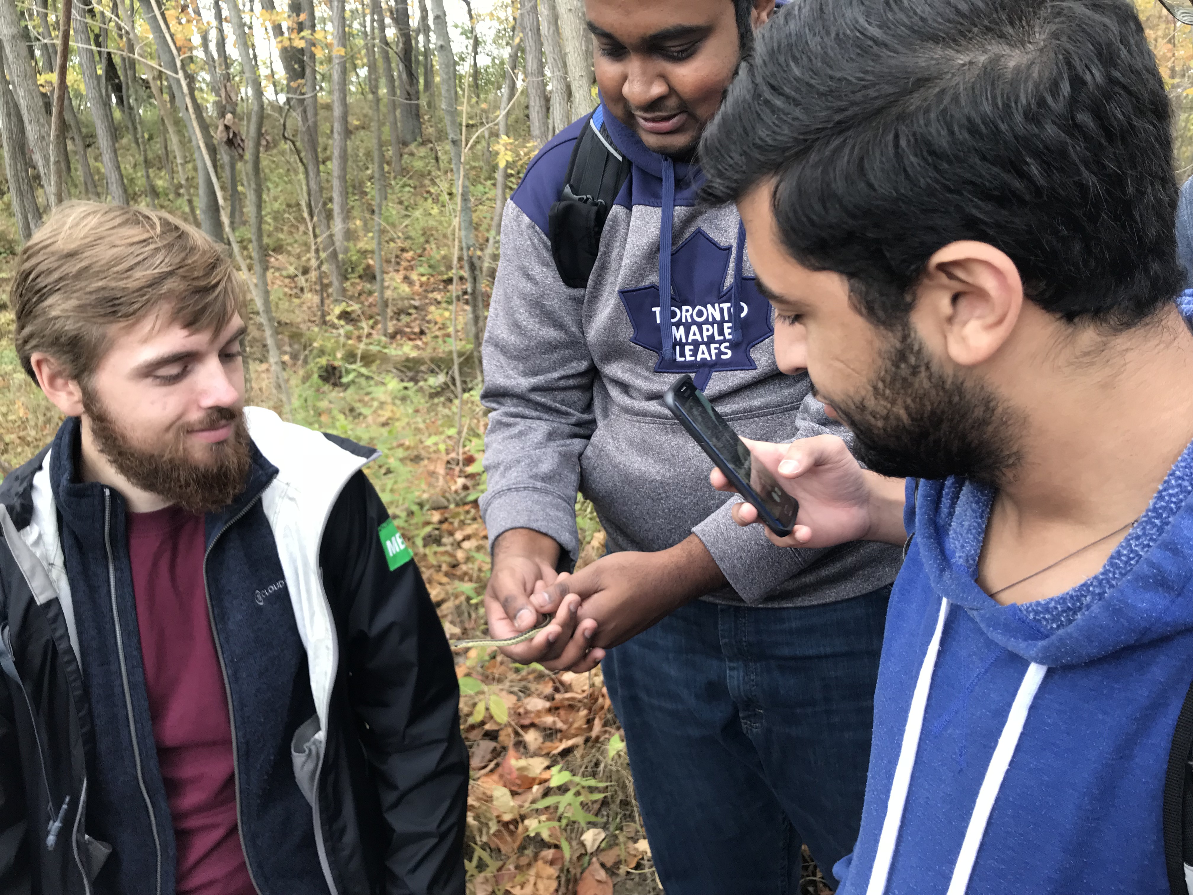 Students hiked through Cootes Paradise to learn about how the land holds stories.