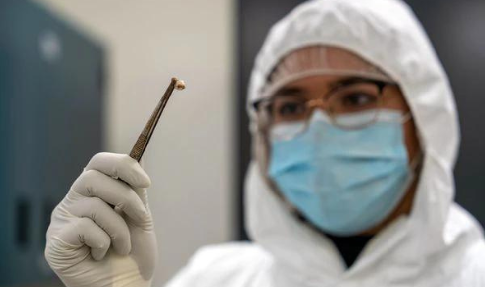 A researcher wearing a mask, gloves, protective glasses and bodysuit hold up a human tooth with a pair of laboratory tweezers. 