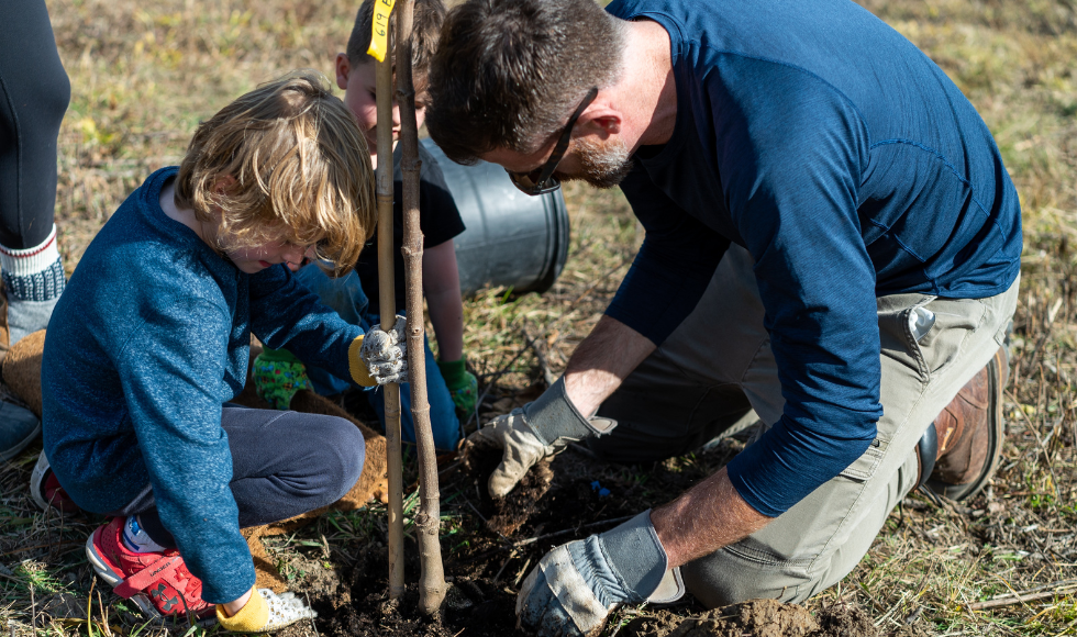 Two children join an adult in planting a sapling.