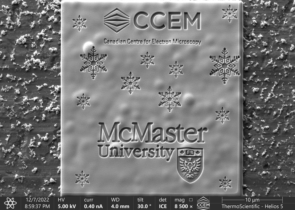 A black-and-white images of a square containing the McMaster University logo, the Canadian Centre for Electron Microscopy logo and snowflakes. 
