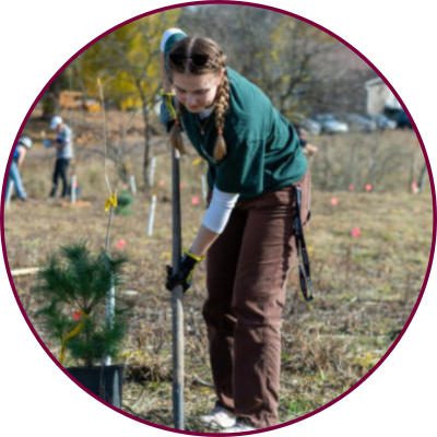 A student digs up a plot in McMaster forest to plant a new tree.
