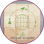 A globe with arrows surrounding it and text that reads, 'circular economy' 