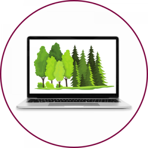 A graphic image of trees on a laptop screen 