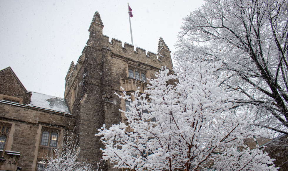 Snow-covered branches in front of McMaster's University Hall