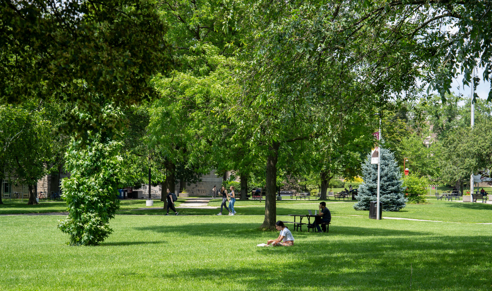 A photo of students studying on the grass and under trees on campus.
