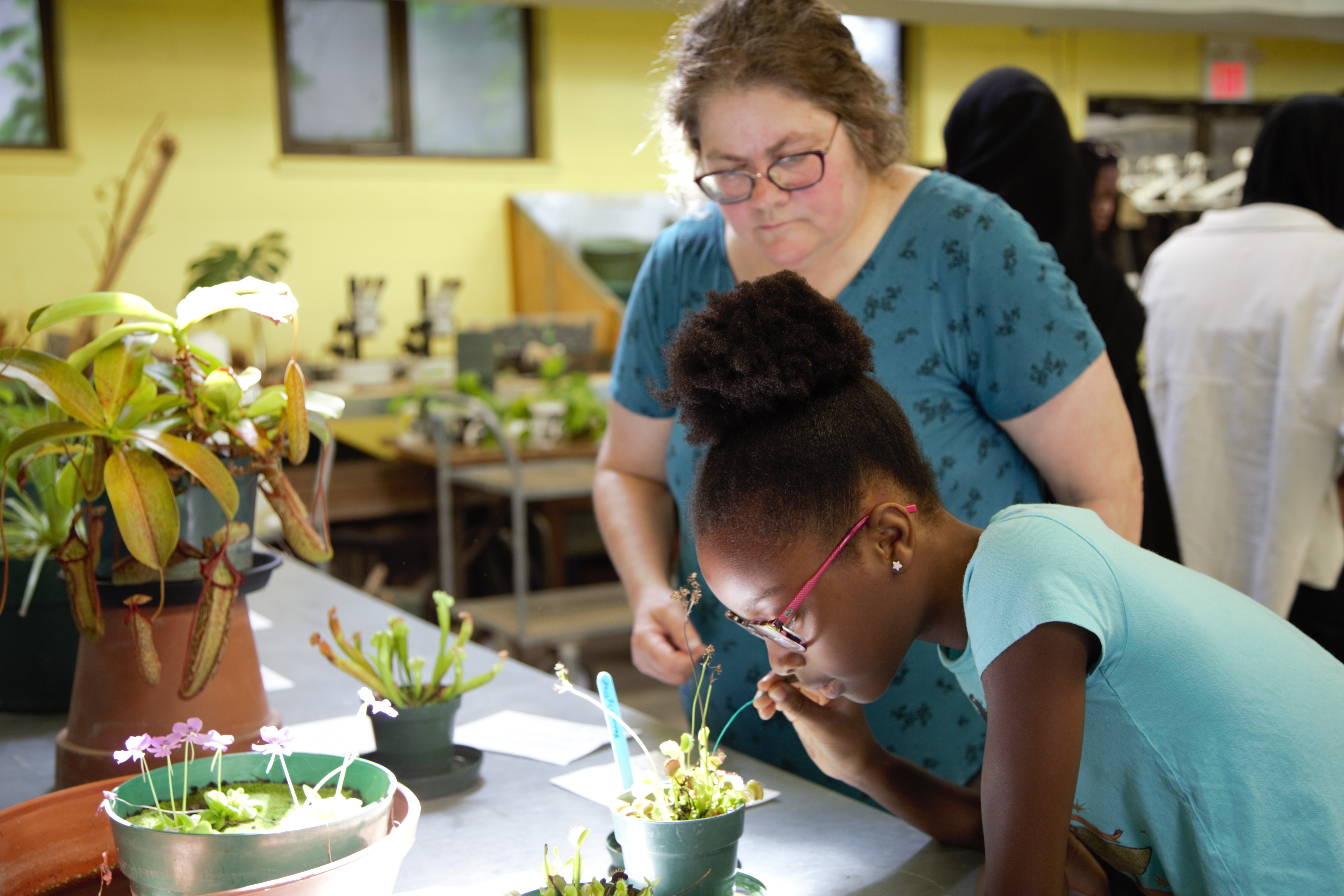 A high school student bent over looking at a plant while a professor looks on 