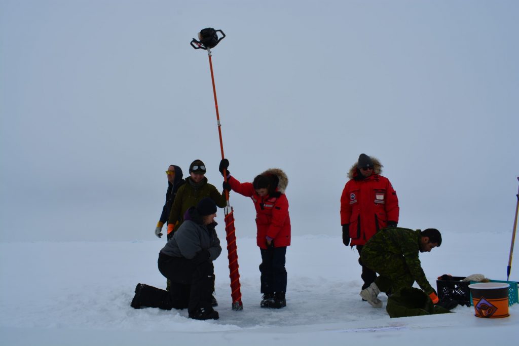 Six people conducting fieldwork on frozen tundra 