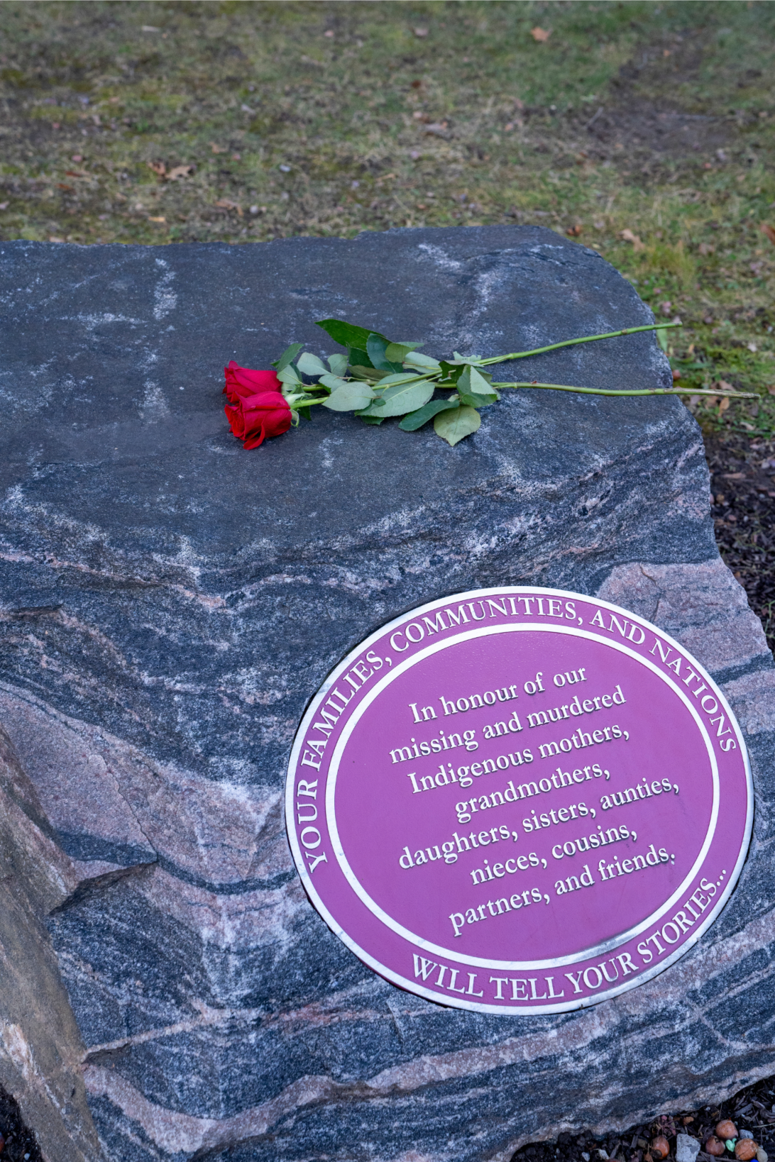 A rose on a stone with a memorial plaque outside L.R. Wilson Hall
