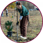 A person planting a tree 