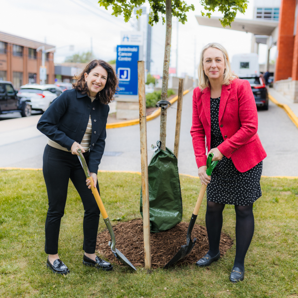 Two individuals are holding shovels and planting a tree.