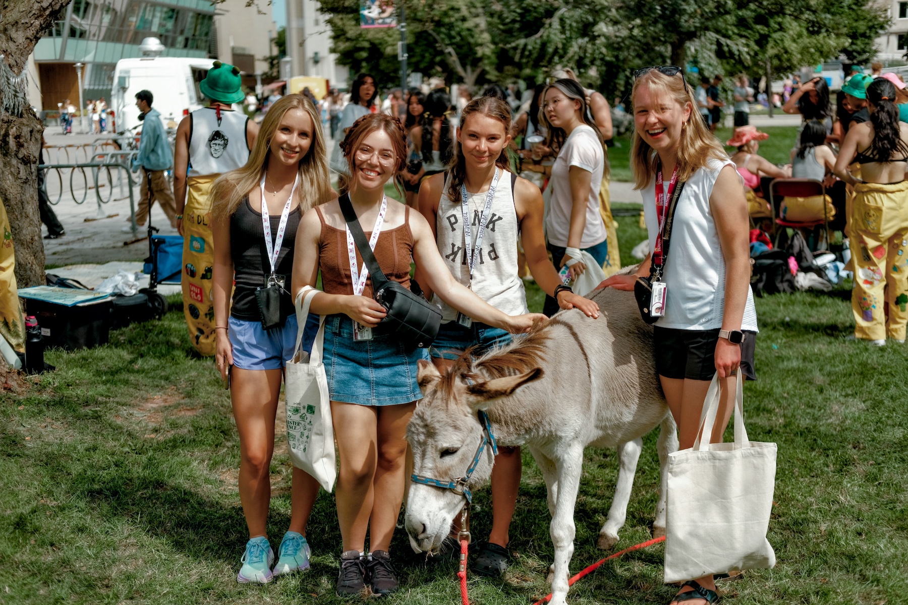 A group of students pats a donkey from a petting zoo on the field during Welcome Week.