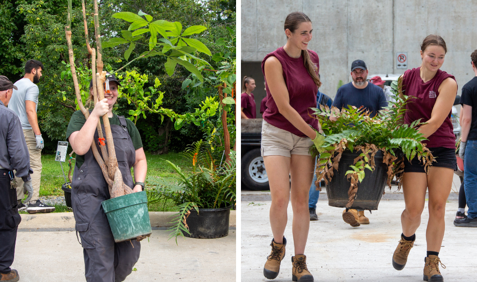 Two side-by-side images of facilty service staff carrying big potted plants.