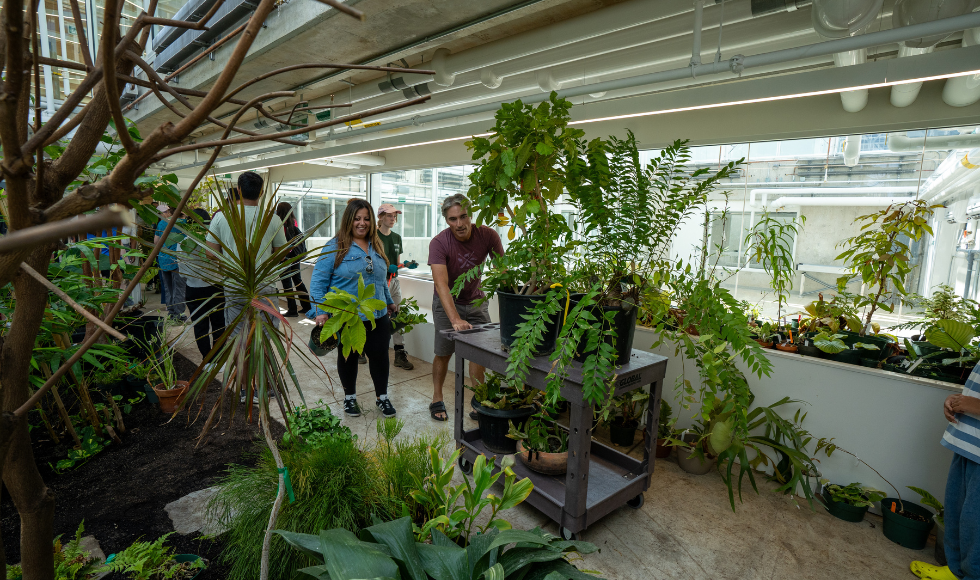 Several people inside a greenhouse. One is pushing a cart that has potted plants on it and one is holding two potted plants.