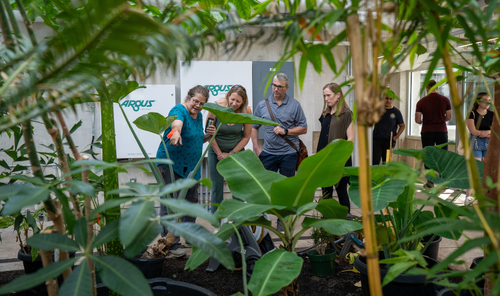 A person pointing at a bed of plants while others look on.