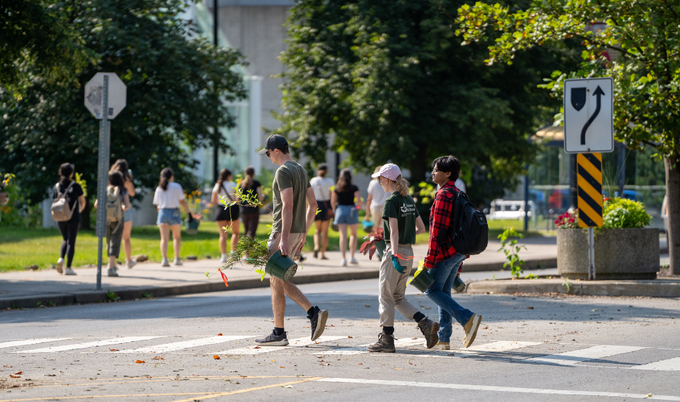 A line of people holding potted plants while crossing a roadway.