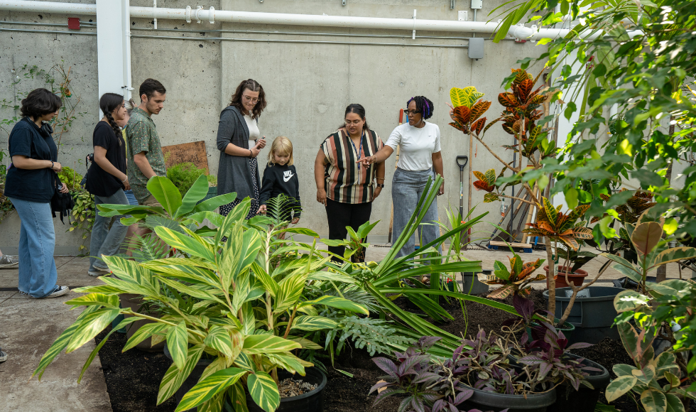 A person pointing at a bed of plants while several other people look on