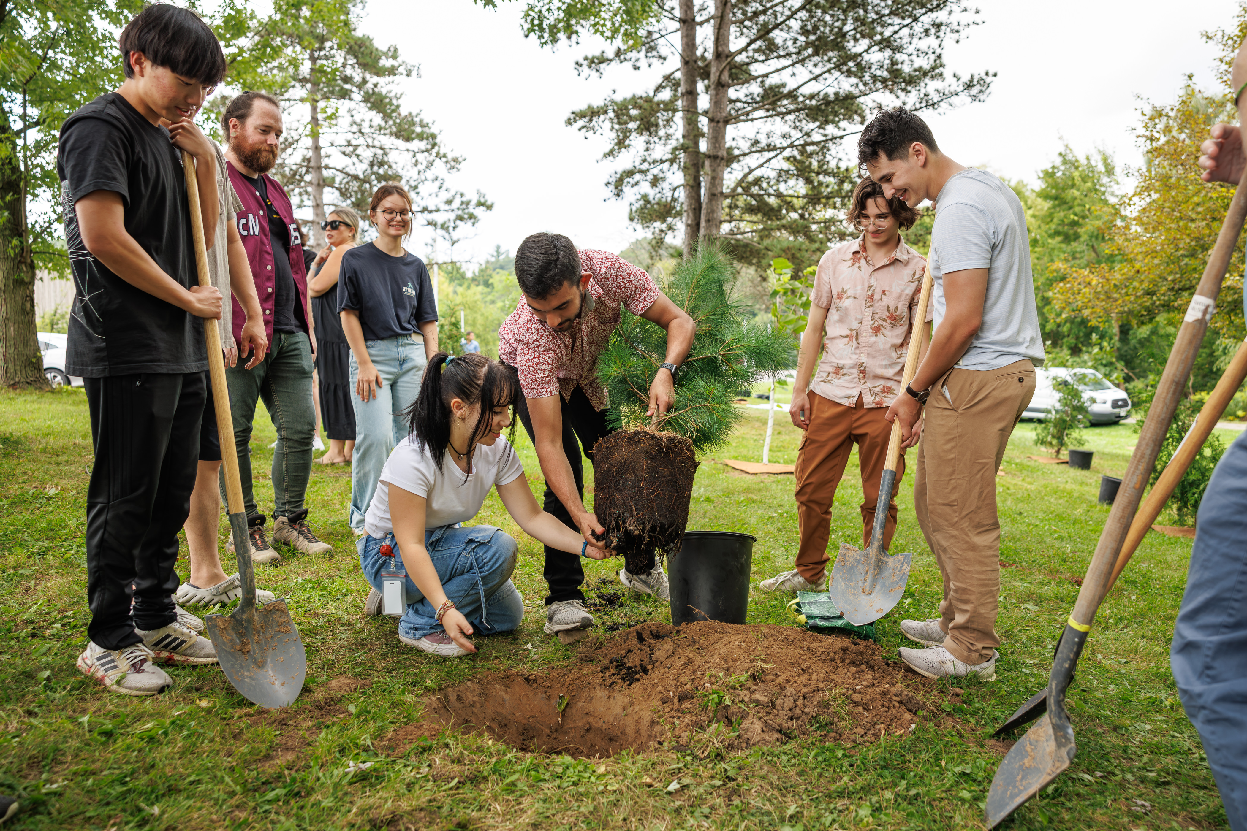 Two students plant a tree while others look on.