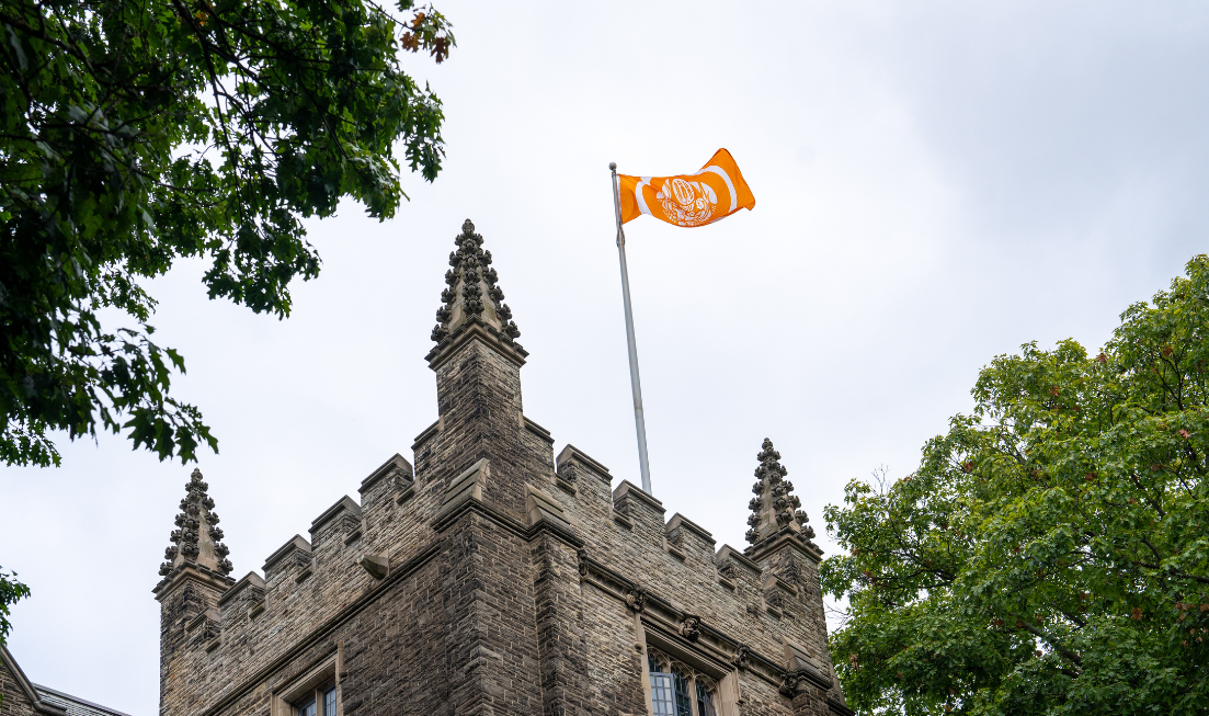 Seen from way below: The Survivors Flag flying at the top of a tower.