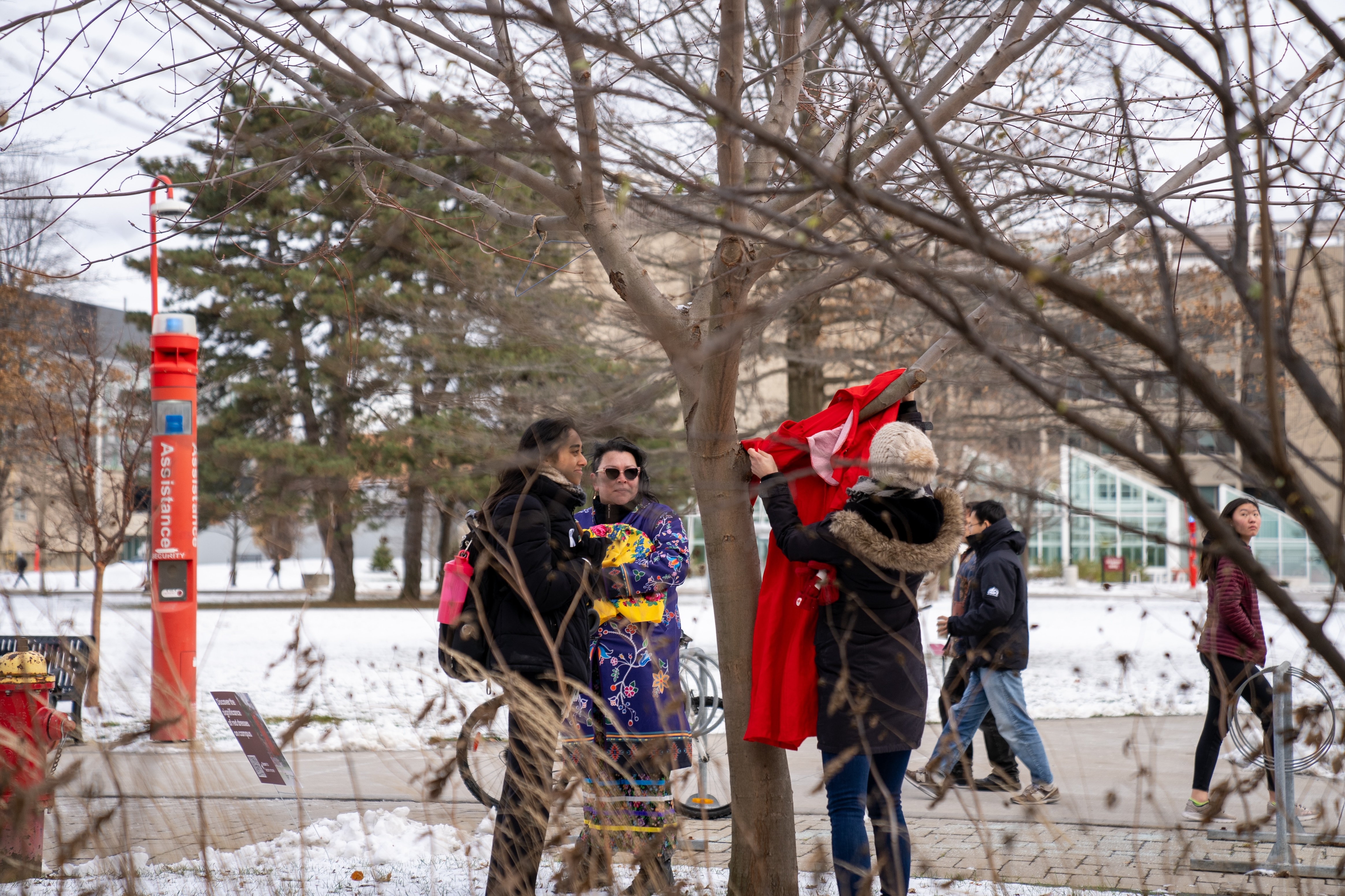 Seen through some criss-crossed plants and tree limbs: A person adjusts a red dress hanging from a tree branch while two of their companions watch.