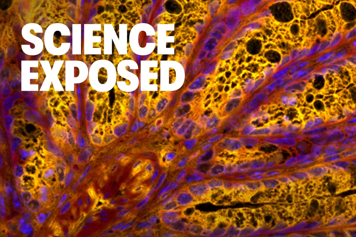 A colourful closeup of something seen under a microscope, with text overlaid that reads: "Science Exposed: Submit by January 28, 2025"