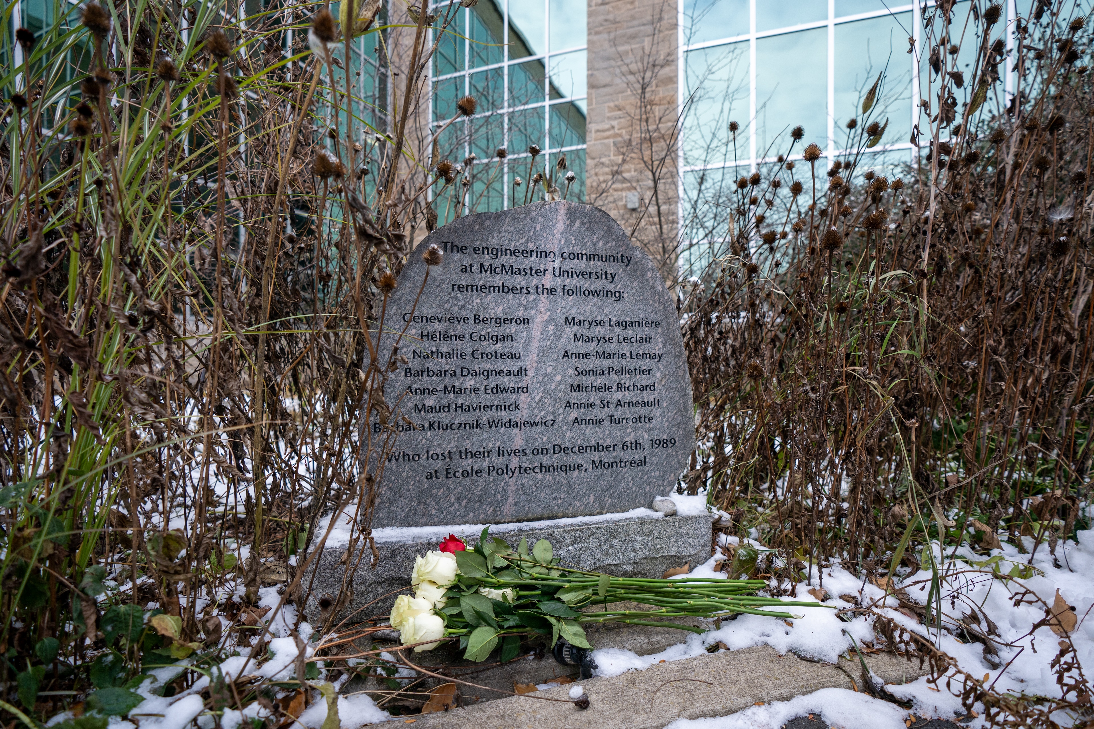 Roses have been laid at the foot of a memorial stone outside the Engineering building at McMaster, engraved with the names of the 14 women who were killed in an act of gender-based violence in Montreal in 1989. 