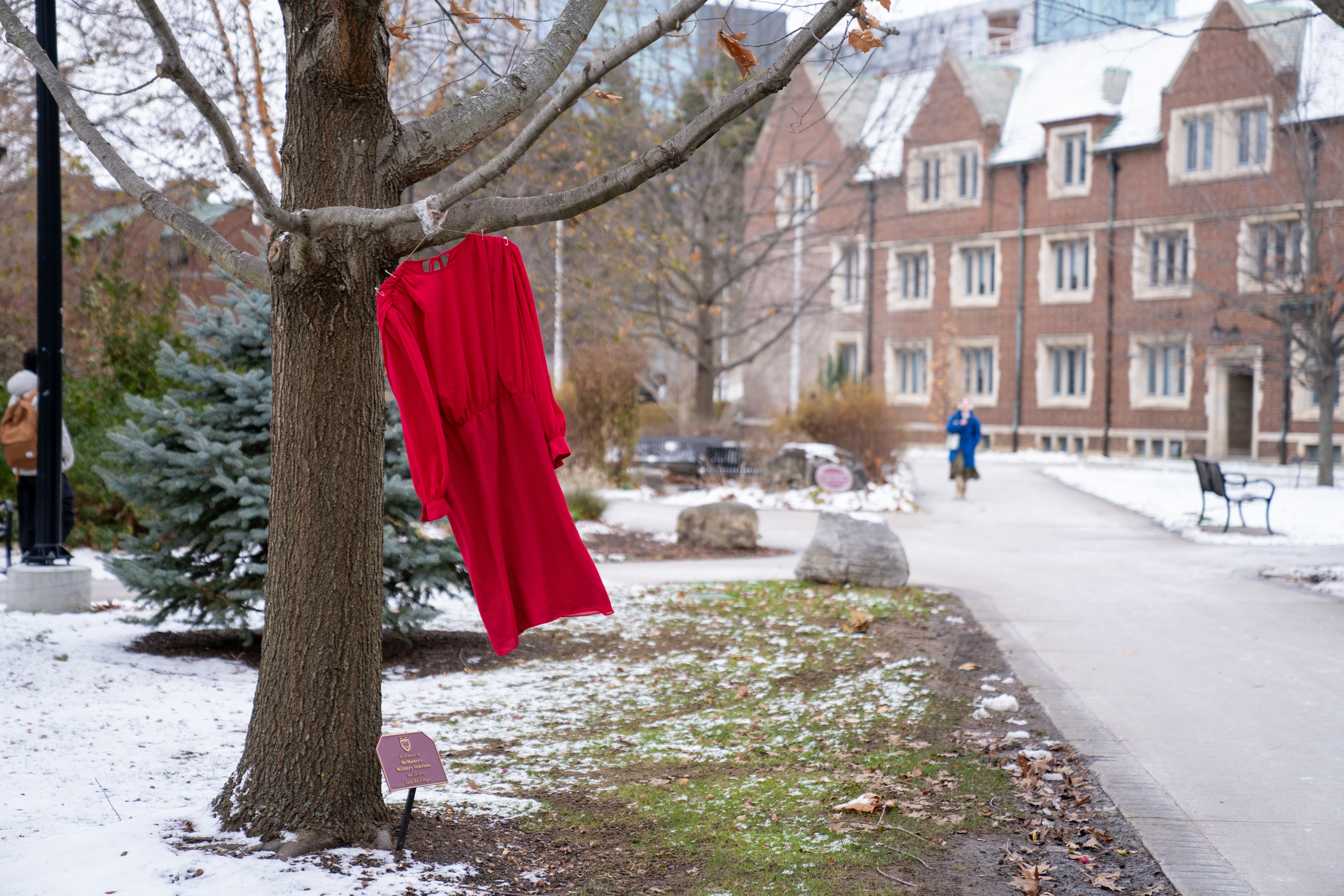 A red dress hangs from a tree branch at McMaster in the foreground. A person in the distance is walking on the path that will eventually bring them beside the tree.