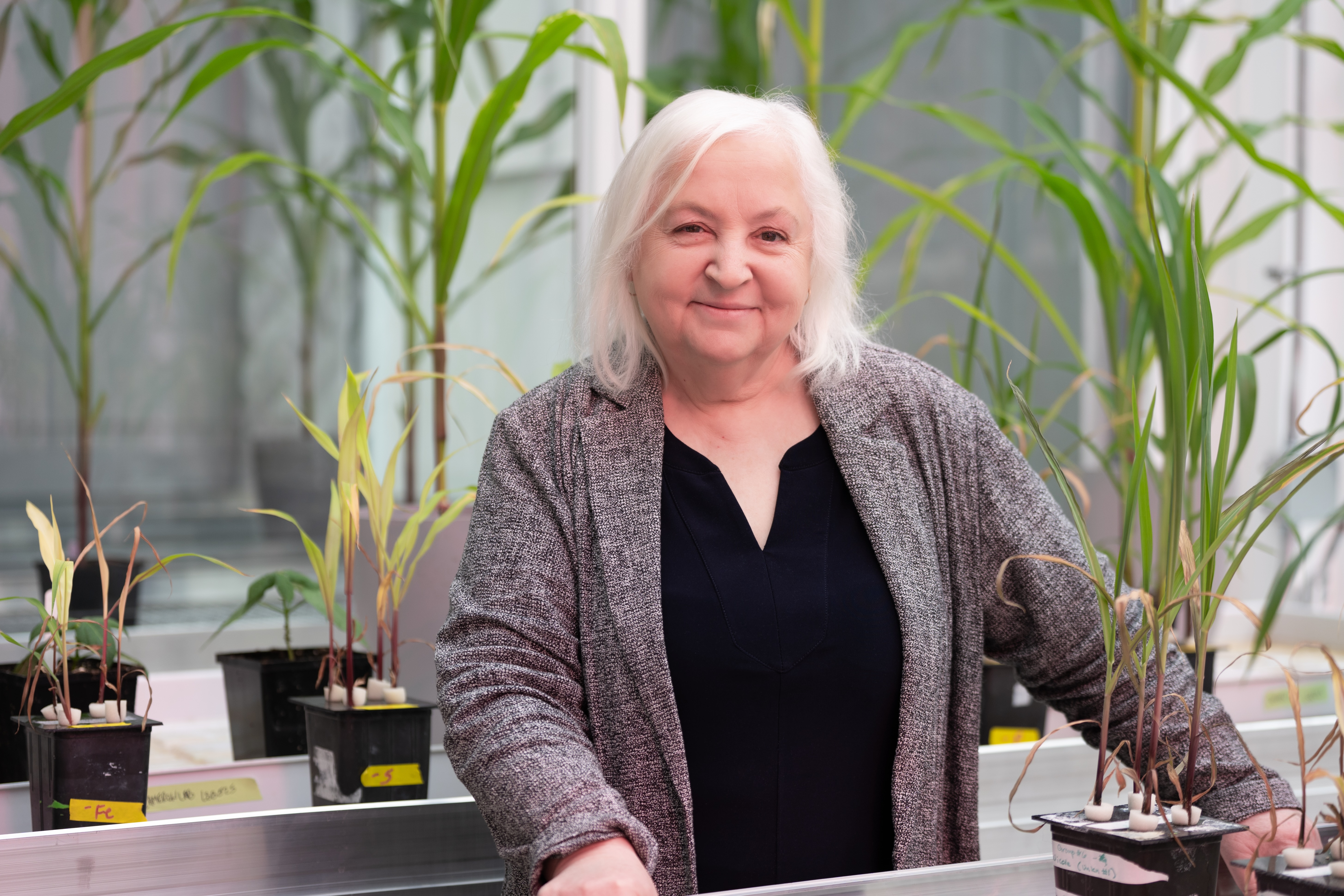 Elizabeth Weretilnyk stands in the new greenhouse at McMaster in 2025