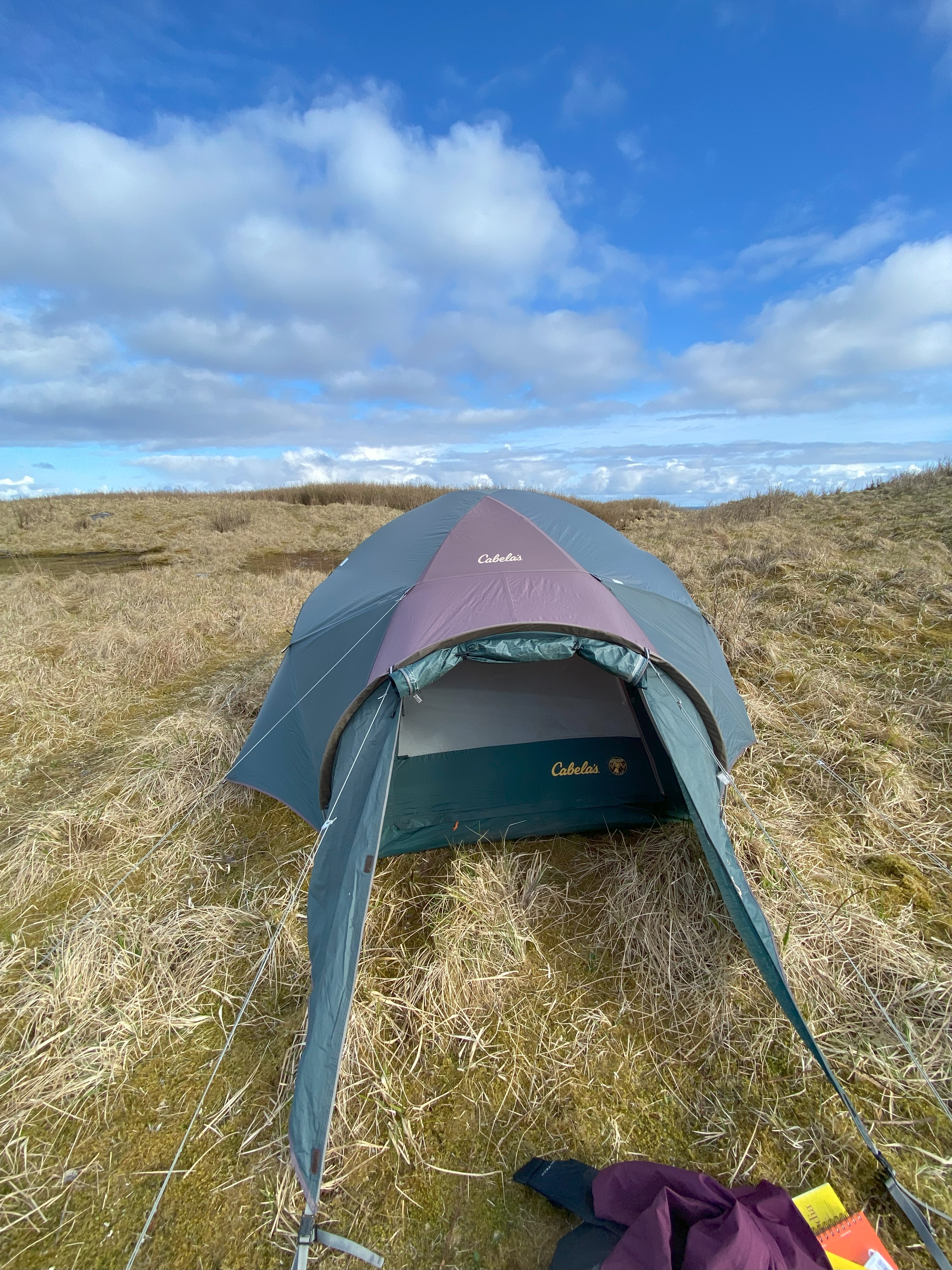 A tent set up outdoors on a grassy spot.