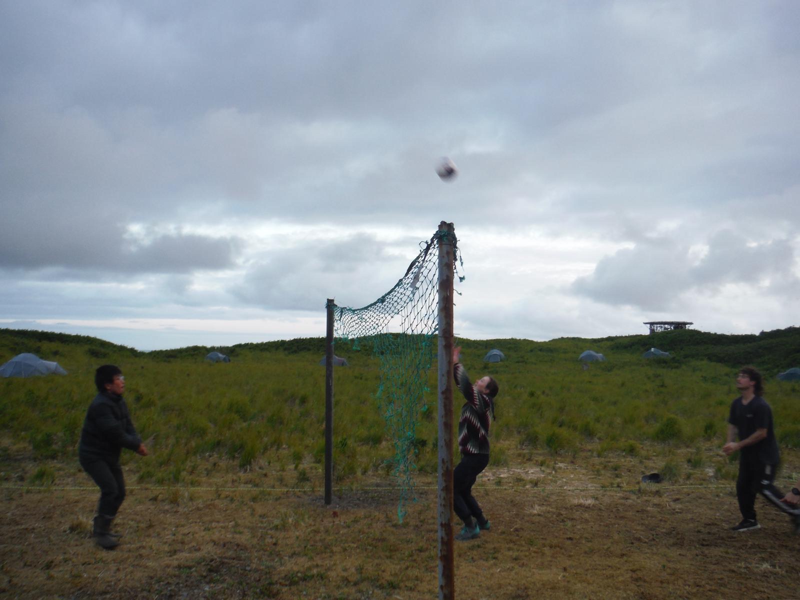 People play volleyball on grass.