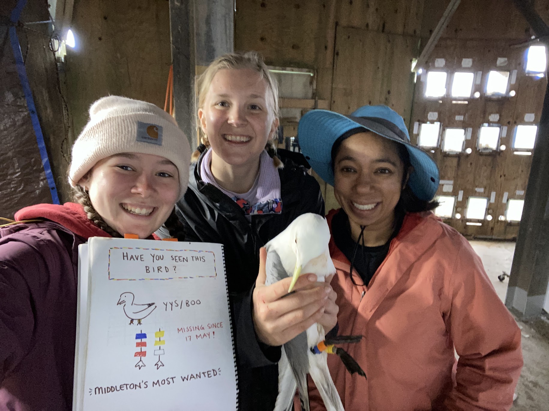 Three people, holding a whiteboard and a seagull.