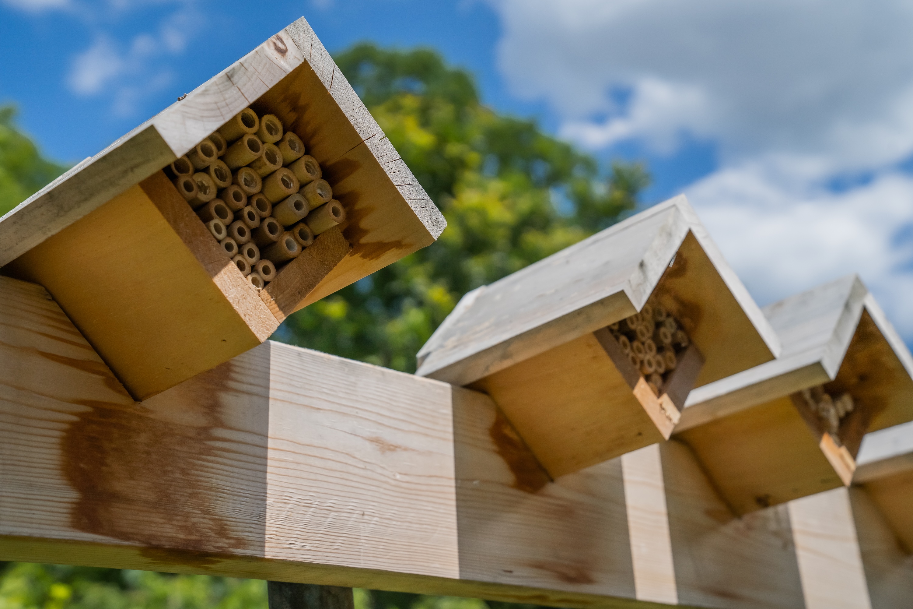 A row of bee boxes, which look like circular wooden tubes inside of a wooden box with a roof, set at an angle.
