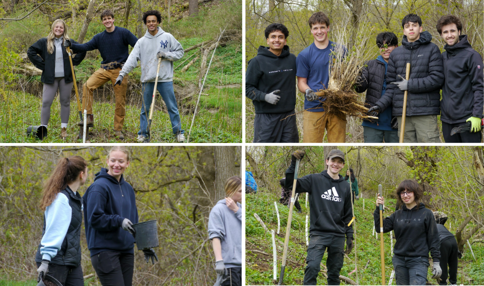 A grid of four images, showing young adults outdoors holding branches. 
