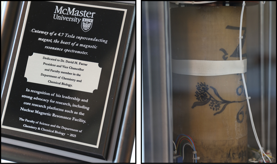 Two pictures, one of a plaque dedicating the superconducting magnet cross-section to David Farrar, the other showing the flower inscribed onthe core of the magnet.