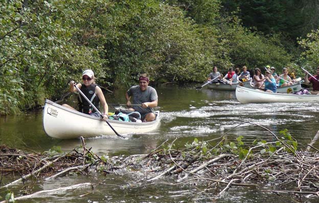 beaver dam