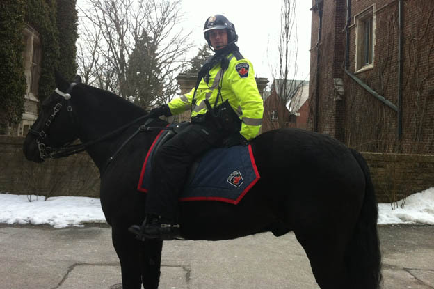 Police horse