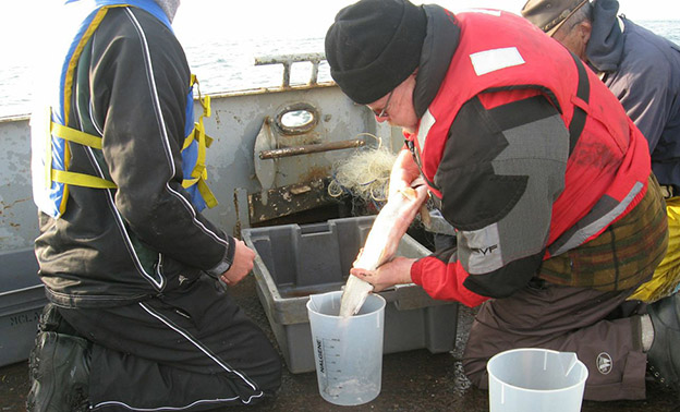 whitefish on boat 1