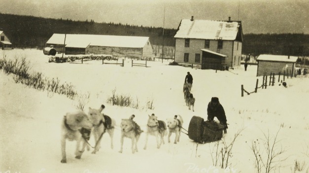 This image, part of a collection of postcards from McMaster’s archives, hearkens back to a time when traveling by dog sled was the most efficient way to move across Canada’s wintery terrain.