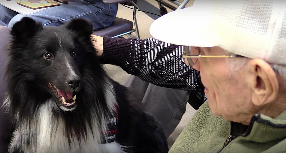 A joint study from McMaster and the Universities of Saskatchewan and Regina in partnership with the St. John’s Ambulance Therapy Dog Program, looked at how regular visits from therapy dogs improved the quality of life for older adults living in a Veterans Affairs Canada residence in Saskatoon, Saskatchewan.