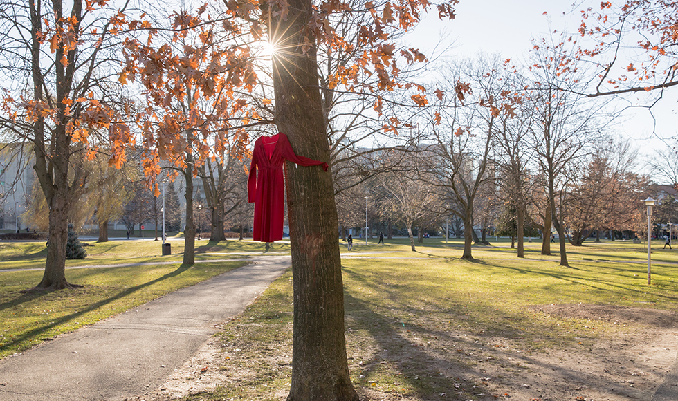 Day of Remembrance and Action on Violence Against Women