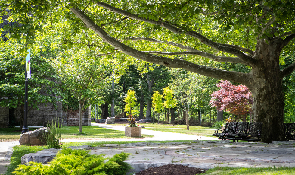 McMaster co-signs charter with Canadian universities to address climate ...