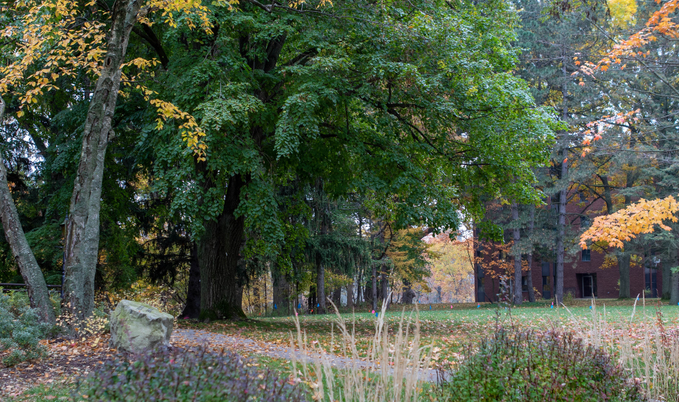 A path winds through tress in the fall