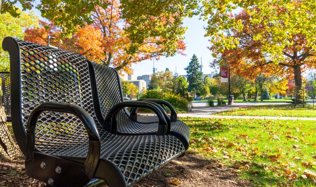 Bench on campus against a backdrop of fall leaves
