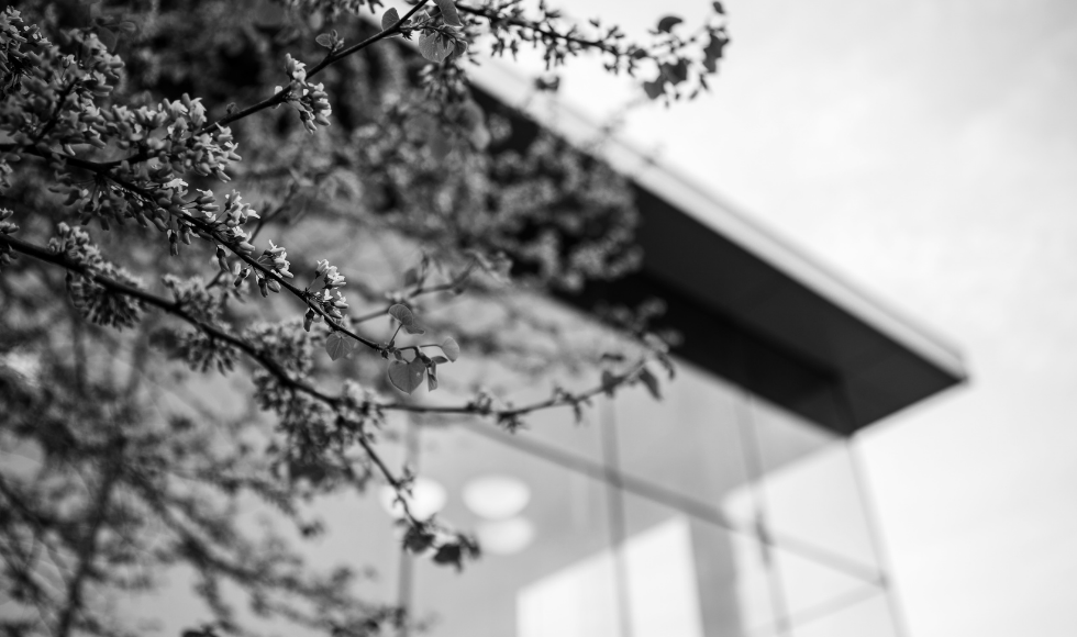 Black and white image of a flowers in the foreground in focus, against a soft focus background of a campus building