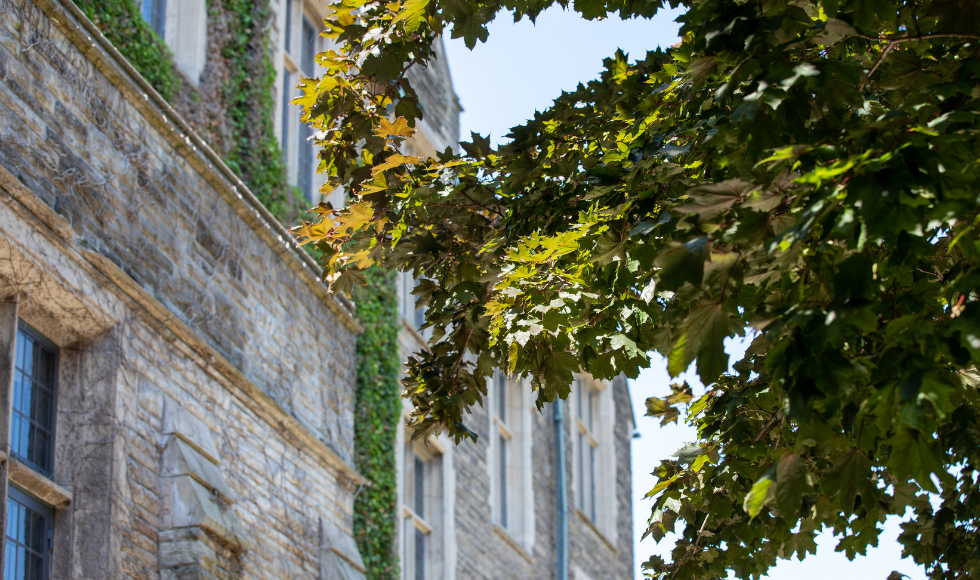 Building with leaves