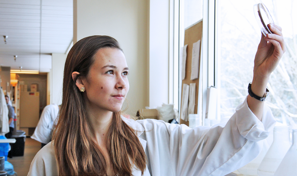 A photo of Beth Culp wearing a white lab coat and holding a petri dish up to the light coming in through the window she is standing beside. She is inside of a laboratory.