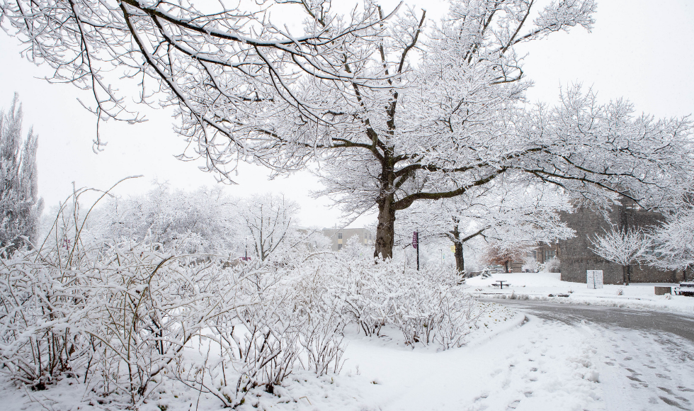 McMaster closed Thursday Feb. 23 due to heavy snowfall and icy