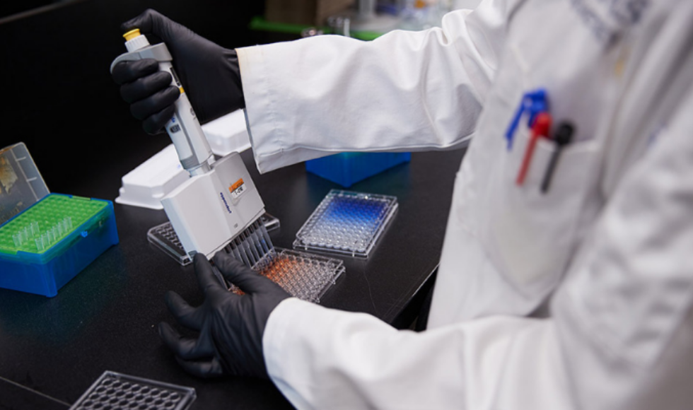 A photo showing a person’s midsection and arms as they work with a pipette in a lab. The person, whose face is out of view, is wearing a lab coat and black surgical gloves.