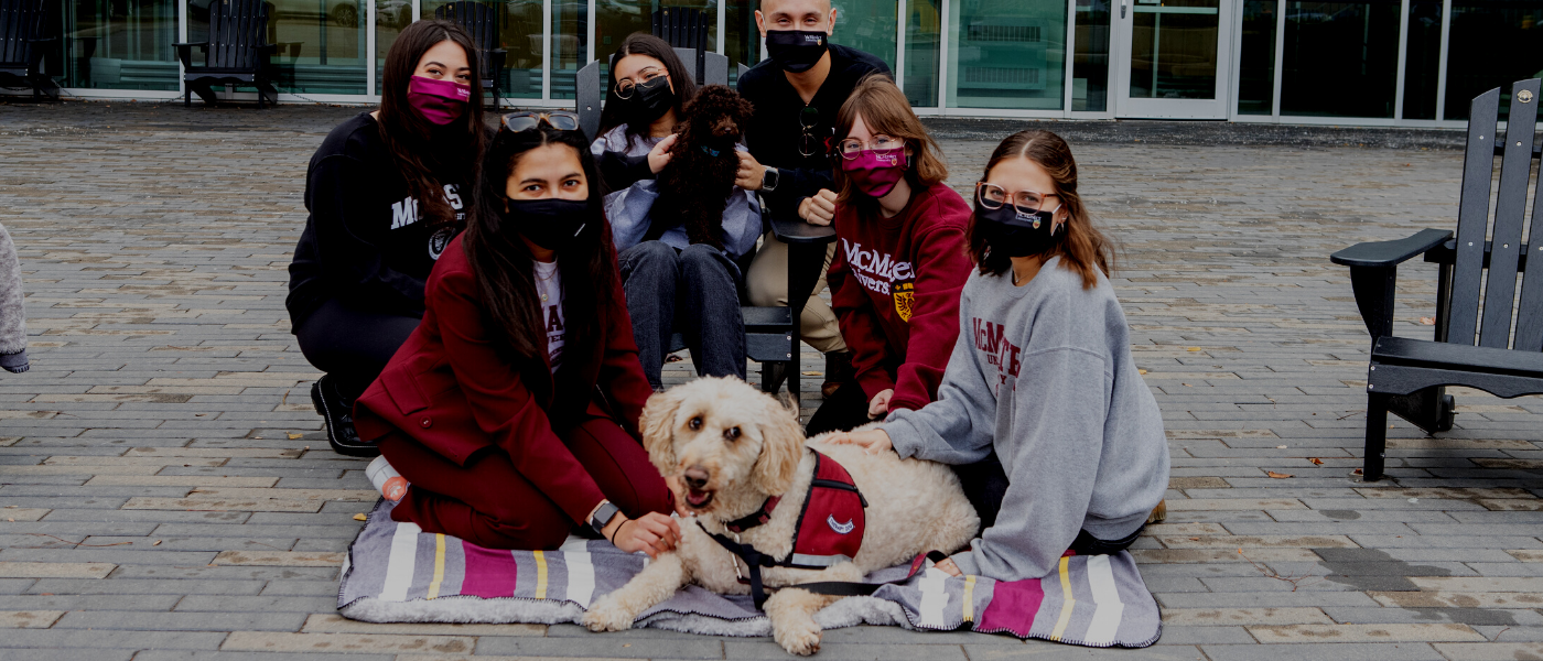 A photo of McMaster students smiling and posing for the camera with two dogs